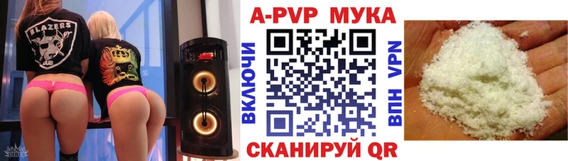 A-PVP СК  Куровское 