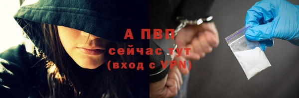 стаф Баксан