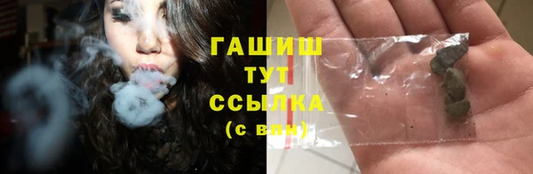 стаф Баксан