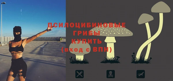 стаф Баксан