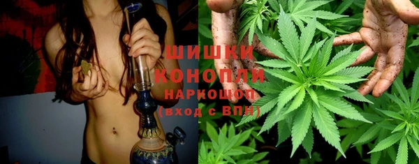ПСИЛОЦИБИНОВЫЕ ГРИБЫ Балахна