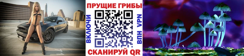 Галлюциногенные грибы мухоморы Куровское